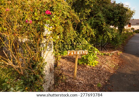 Red roses bushes and Parking Sign showing the way to old rural house. Brittany, France. Vacation at countryside background. Golden sunset light.