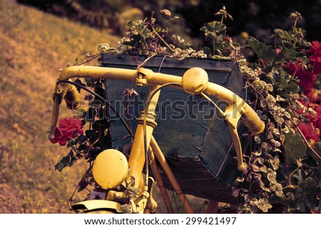 Yellow painted old bicycle with a geranium flowers in wooden box. Garden vintage decoration. Toned photo.