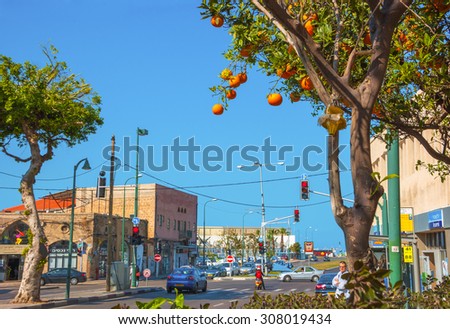 TEL AVIV, ISRAEL - FEBRUARY 18, 2014: Orange tree at the street in Tel Aviv-Jaffa. Dozens of lemon, orange and clementine trees grow at Tel Aviv streets.