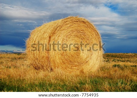 a roll of yellow hay on field with blue background