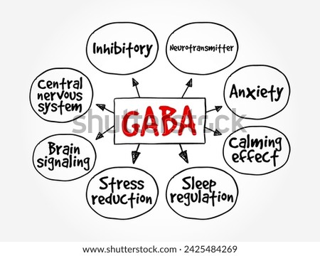 GABA - chief inhibitory neurotransmitter in the developmentally mature mammalian central nervous system, mind map text concept background