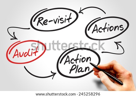 Four steps of the audit process in order to audit a company, business concept