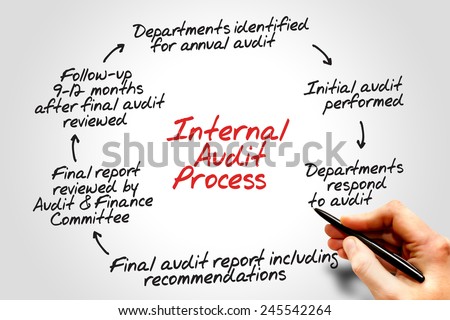 Internal Audit Process flow chart, business concept