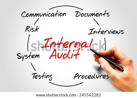 Internal Audit process circle, business concept