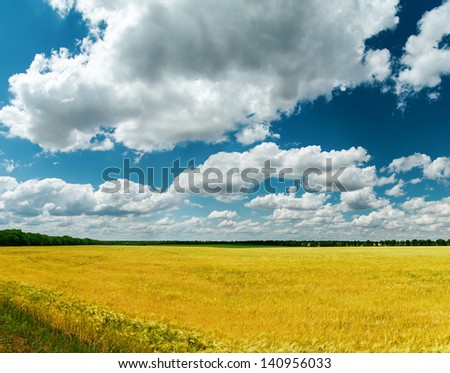 golden field with harvest and clouds over it