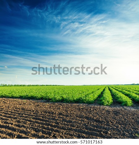 Image, Stock Photo sunset over agricultural fields near Bergheim