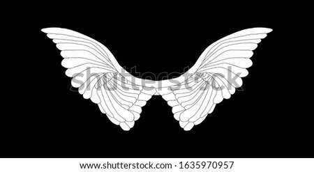 A large pair of white angelic wings spread over a black background
