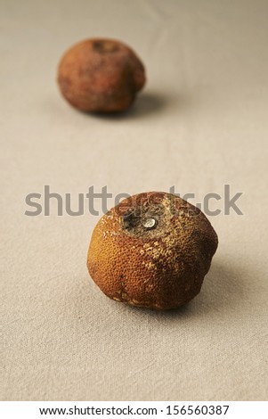 All fall down, dried orange on the table