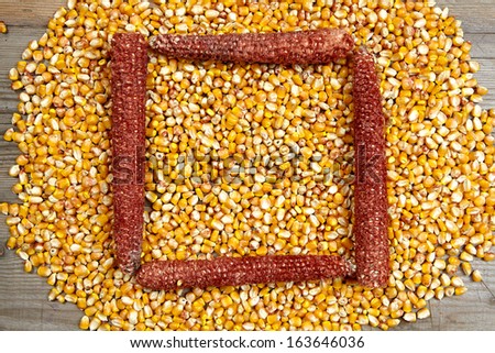 frame made of  corn seeds with wooden background
