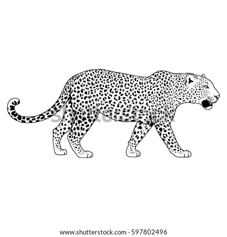 Leopard Print Vector Graphic Free | 123Freevectors