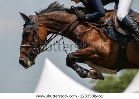 Image, Stock Photo horseman and horsewoman