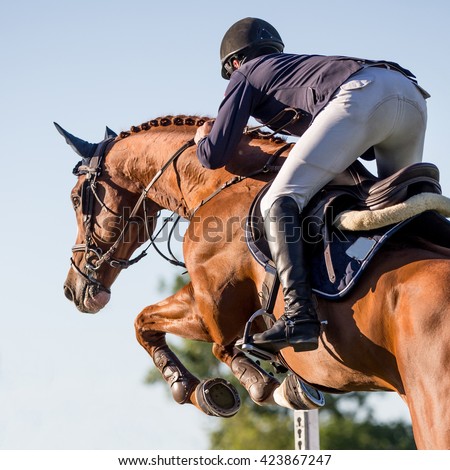 Similar – Image, Stock Photo horseman and horsewoman