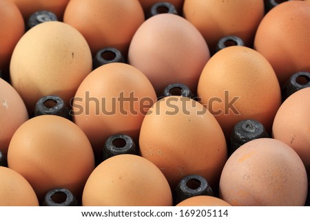 Plastic Tray with fresh white and brown eggs
