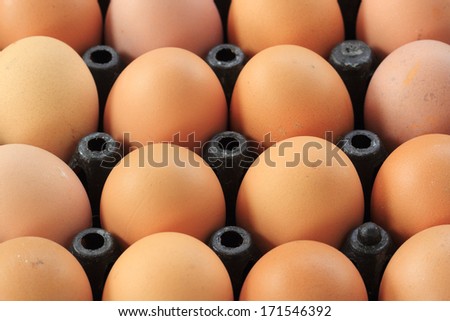 Plastic Tray with fresh white and brown eggs