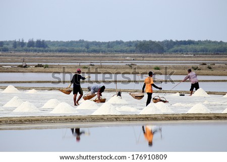 The Farmer working in the salt field