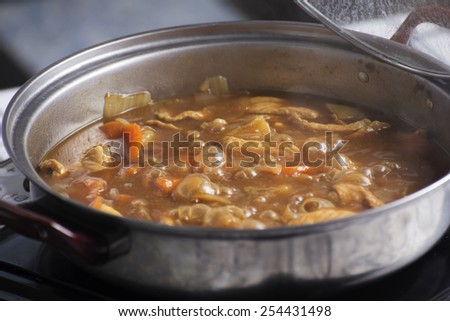 Japanese pork curry in the pot  / cooking Japanese pork curry paste concept
