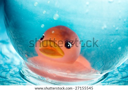 rubber ducky, submerged in water