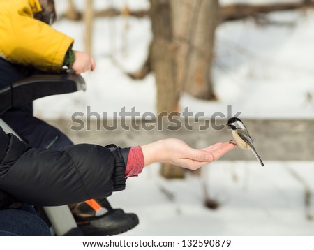 Woman hand-feeding a black-caped chickadee