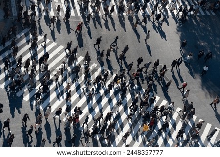 Similar – Image, Stock Photo Pedestrian crossing city downtown women walk in motion on road