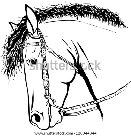 Horse With Western Bridle Stock Vector Illustration 120044344 ...