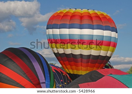 hot air balloons being inflated before lift off