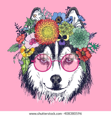 Husky hippie and flowers. Dog portrait in the pink sunglasess. Fashion vector illustration for your blog, logo and other design.