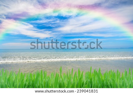 rainbow over blue sky
