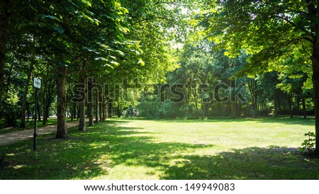 green trees in tiergarten berlin
