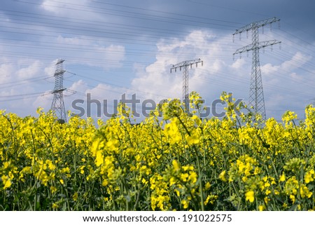 electrical tower and rapeseed and stormy clouds
