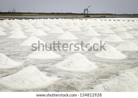 Salt field in Thailand