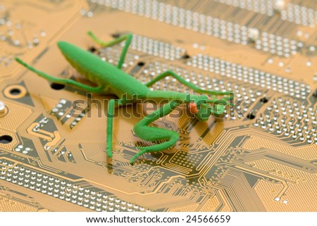 computer bug concept - bug on a motherboard