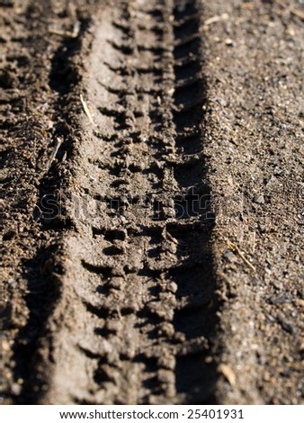 Tire tracks on ground
