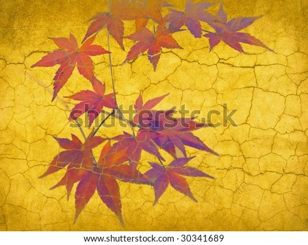 old asian gold wall with autumn maple