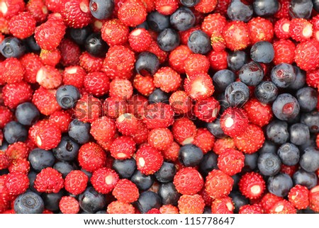 natural background of woodland strawberries and blueberries