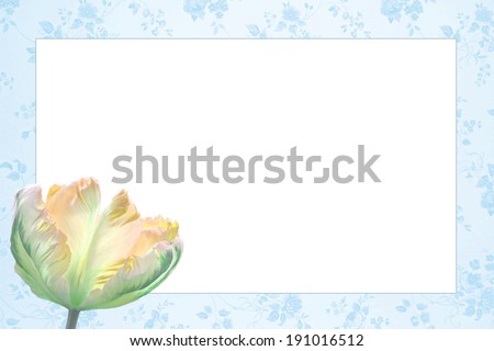 nostalgic floral frame with beautiful tulip flower, light blue and yellow