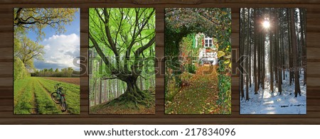 Collage - four seasons on wooden board background. rural spring landscape, gnarled tree, garden view, wintry forest.