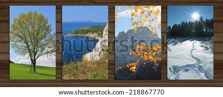 wooden background with four seasons landscape. lime tree in spring, coastal landscape, mountain and autumnal beech leaves, wintry forest