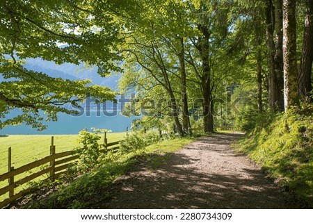 Similar – Image, Stock Photo Hiking at the Achensee