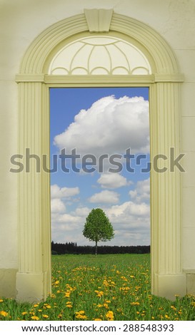 view through arched door, dandelion meadow with lonely tree