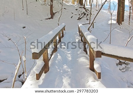 snowy hiking path in the forest with wooden bridge