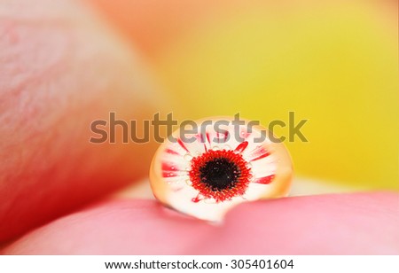 rose petals and water drop with reflecting gerber flower inside the drop