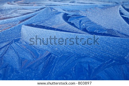 Natures Design. Frost Pattern found on Car roof with almost 3D effect  in December