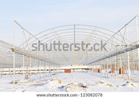 Is constructing the modern shed vegetables