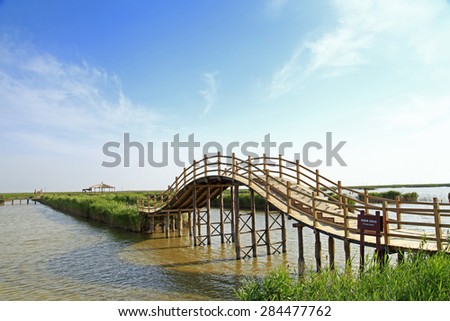 Wooden bridge under the blue sky in the wetland park