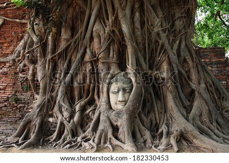 The head of the sandstone Buddha covered by roots of Bodhi tree at Wat Mahathat, Ayutthaya, Thailand