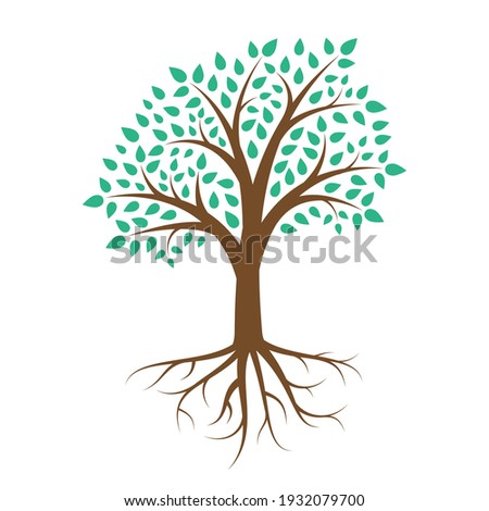 Tree And Roots Drawing | Free download on ClipArtMag