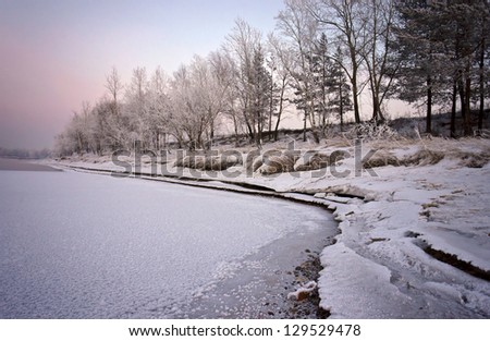 Snow and trees on the bank of the river, lit pink light of the setting sun