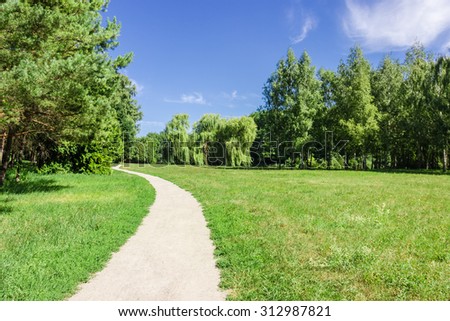 Walkway in the park next to the forest and meadow in the summer on a sunny day.