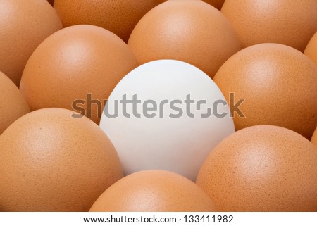 Close up Duck egg among chicken eggs