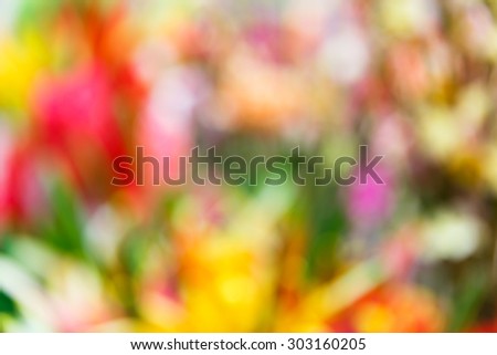 Abstract beautiful defocused blurred colorful background, blur image